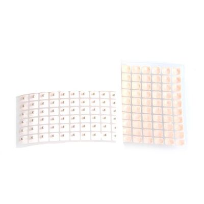 Oval Seedshape Ear Vaccaria Seeds Applied To Ear Acupuncture Points Natural Vaccaria Seeds for Therapeutic and Wellness