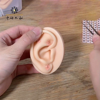 Cool Storageconditions 1600 ชิ้นต่อถุงทิ้ง Vaccaria Ear Seed การฝังเข็มอุปกรณ์เหมาะสำหรับ Therapeutic และ Wellness