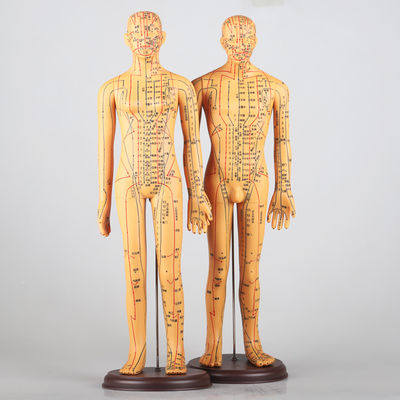 ตารางเมริดีอัน รวม รูปแบบร่างกายการฉีดฉีด ประมาณ 5 กิโลกรัม สามารถใช้ได้หลายเทคนิค